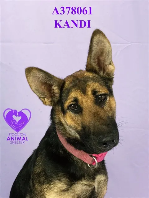 Kandi