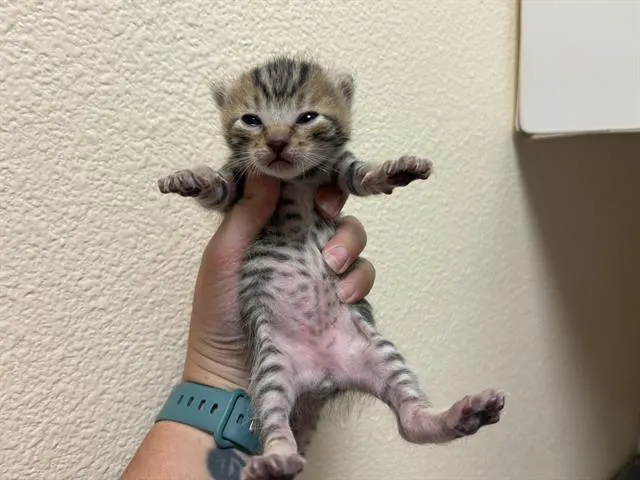 Sleepy