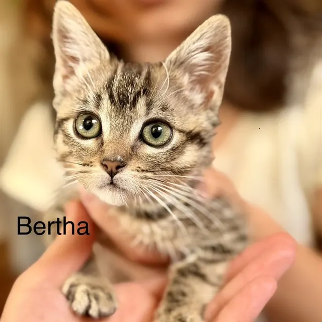 Bertha