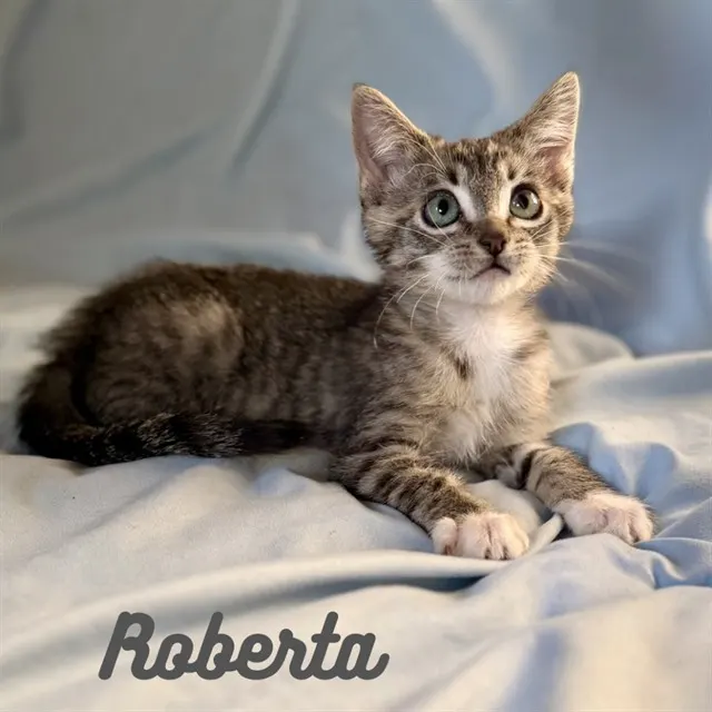 Roberta