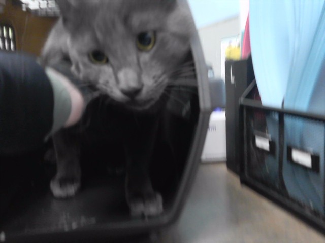 Lord Walgreens