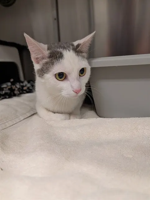 Luna
