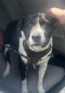 Sam