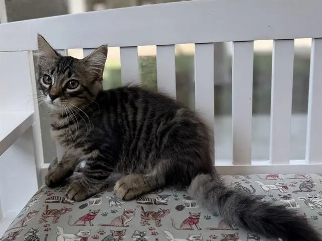 Sam