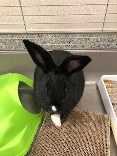Tux