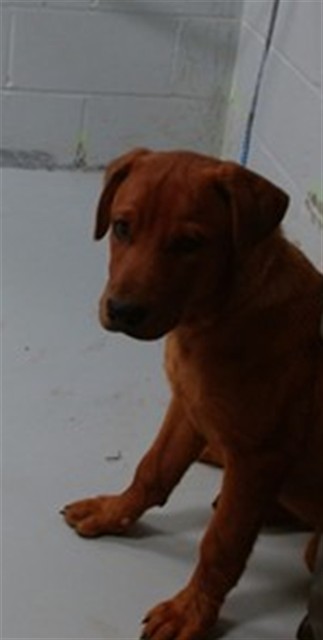 *Ernie