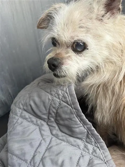 Esther