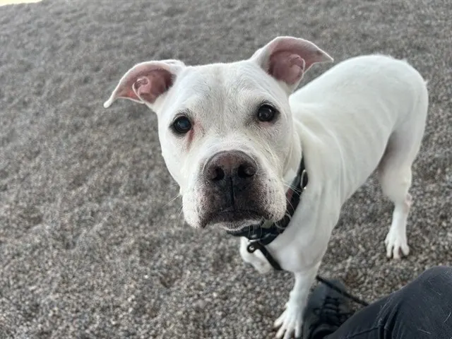 Casper