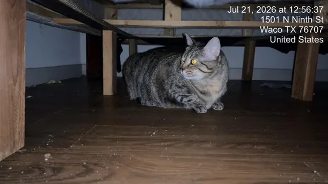 Betty