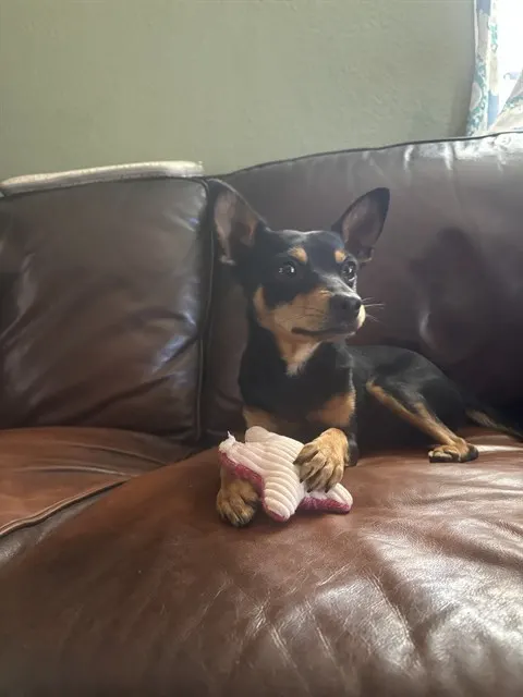 "Chico"