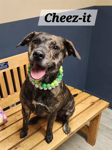 Cheez-It