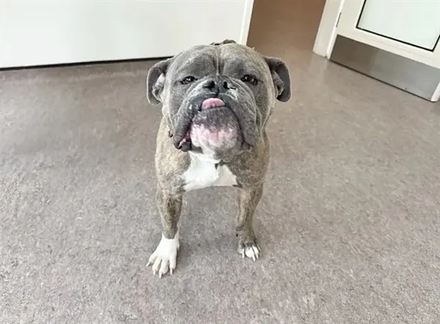 Mable