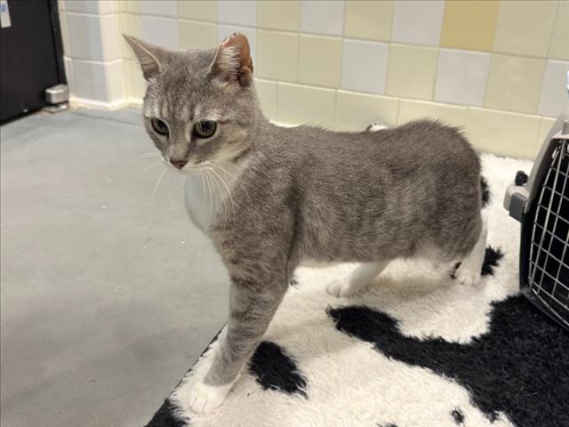 Mama Mimi