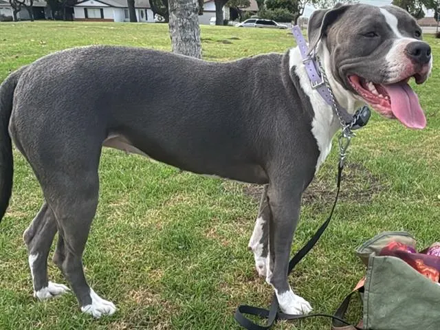 Stormi