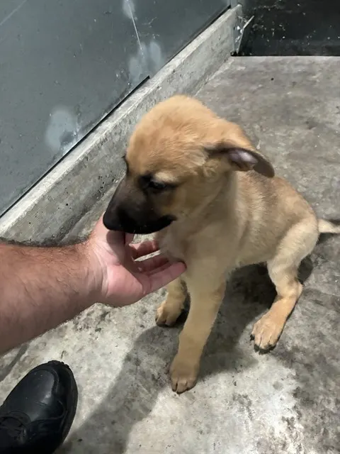 Billy