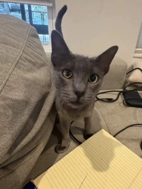 Luna