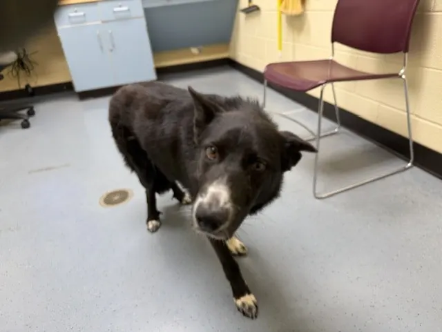 Max