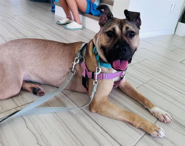 Fiona