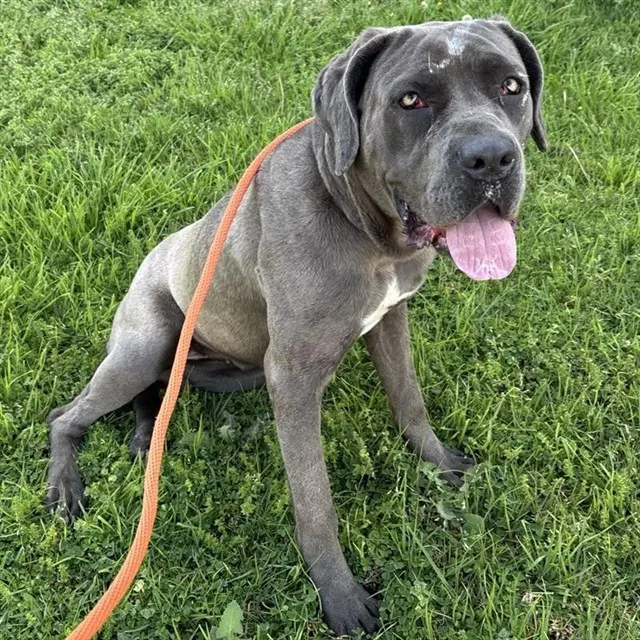 Xena - In Foster