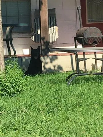 Hunter