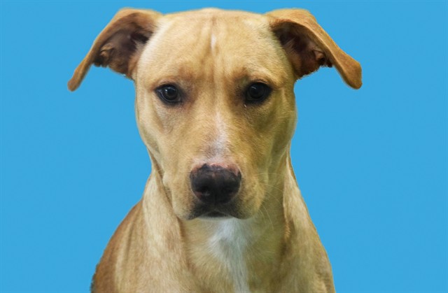 Duncan