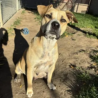 Samantha