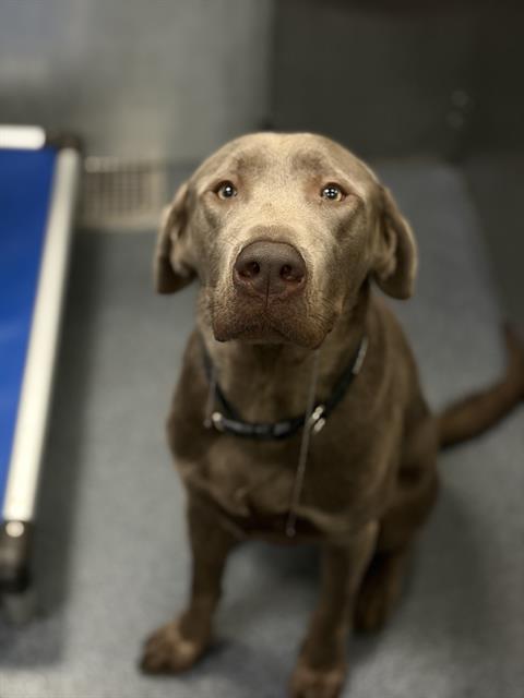 Max