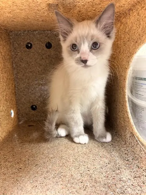 Johnny