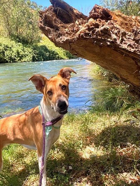 Skye