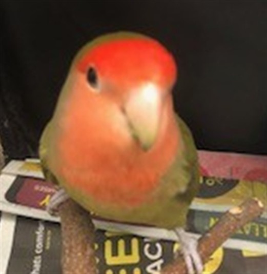 Stinky