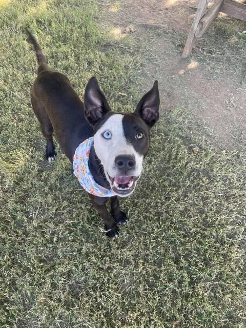 Gwen
