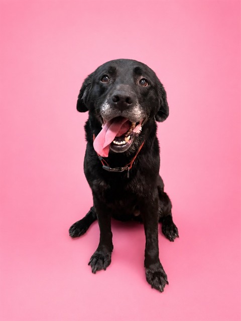 Millie