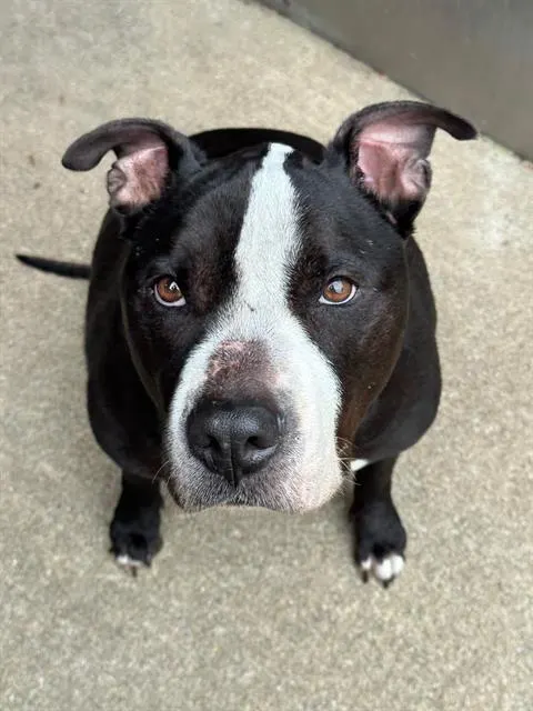 Tanker