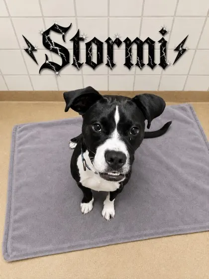 Stormi