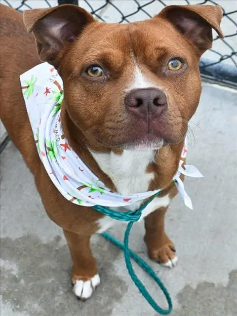 Buster