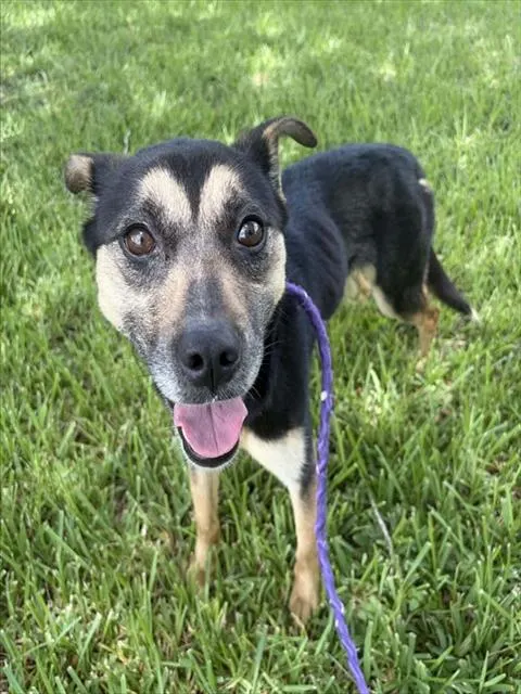 Maggie