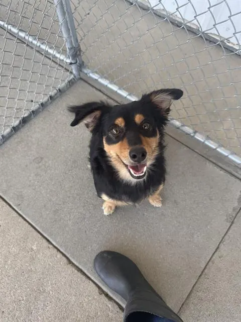 Coco