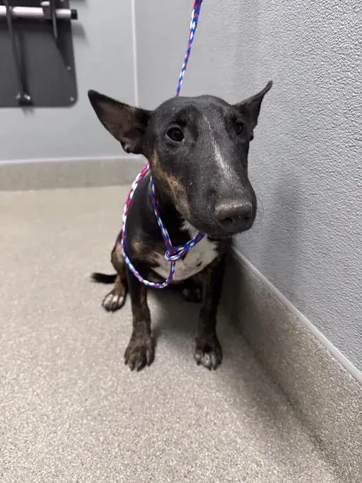 *Maggie Mae