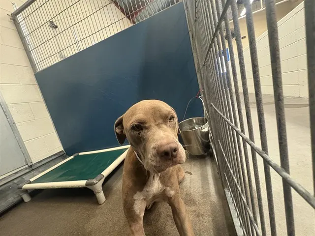 Flint