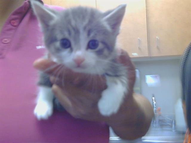 Billy