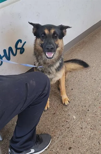 Max
