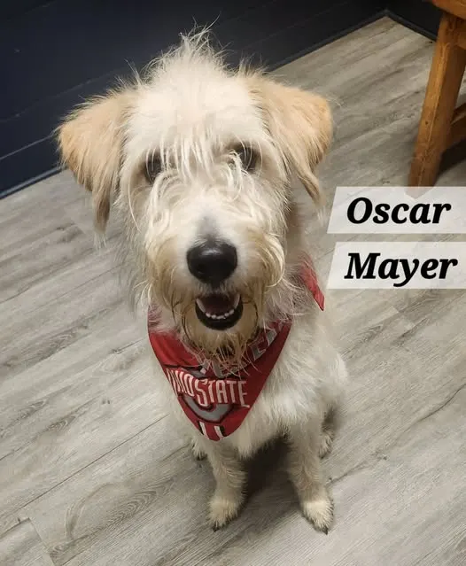 Oscar Mayer