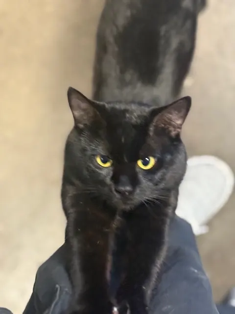 Nori
