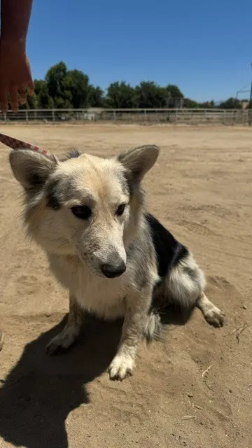 Nakita