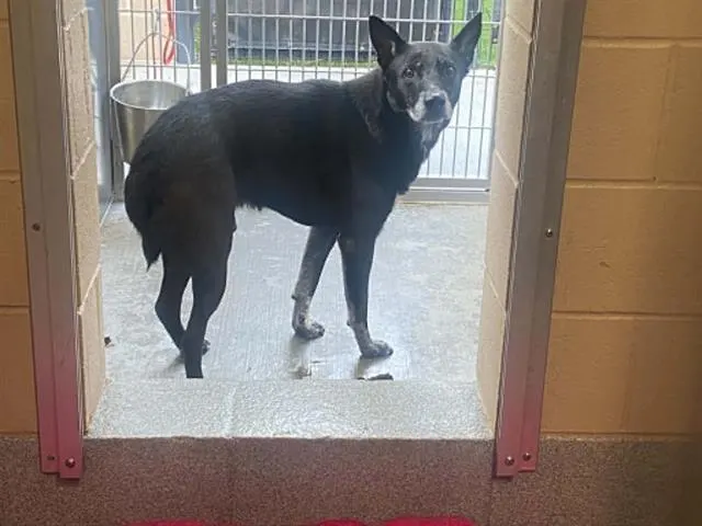 Tux