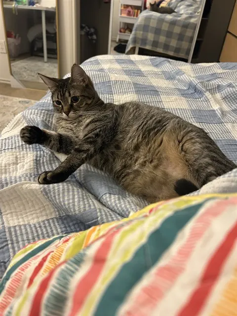 Glinda