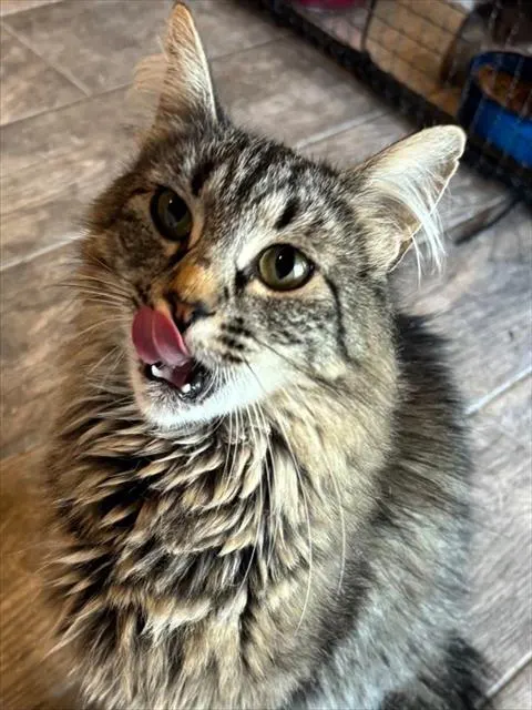 Alaska