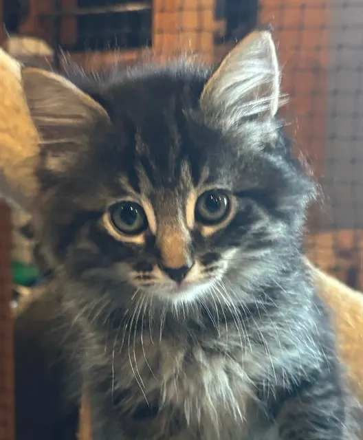 Yukon