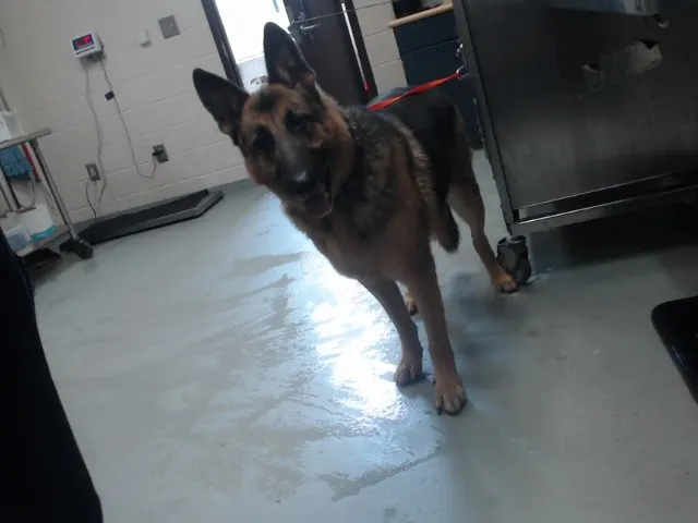 Oscar