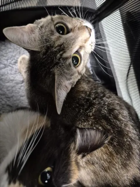 Winnie